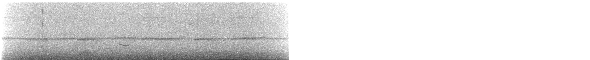 Дрізд-короткодзьоб плямистоволий - ML117864201