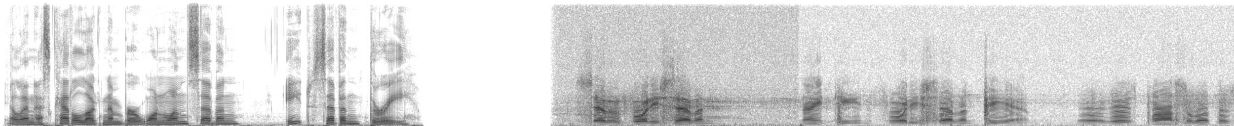 ザトウクジラ - ML117873