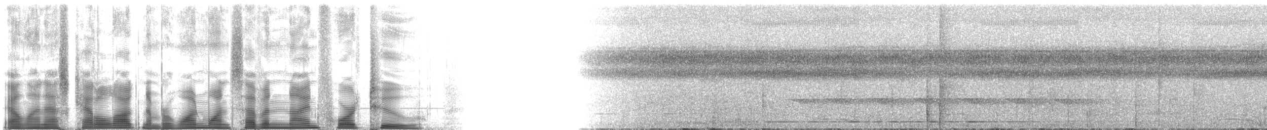 Olivaceous Schiffornis - ML117942
