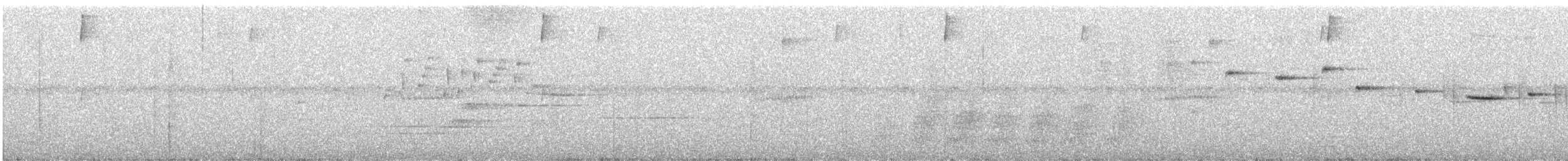 Віялохвістка сиза - ML117953821