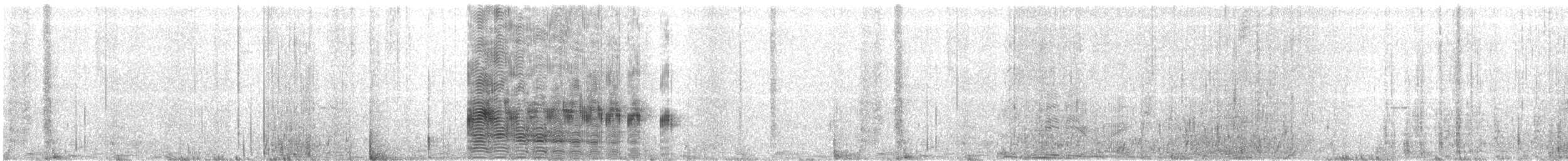 אלבטרוס לבן-כיפה - ML117957991