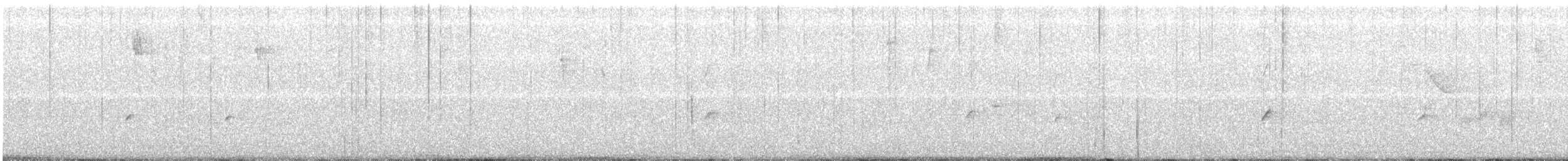 White-throated Treecreeper - ML118046621