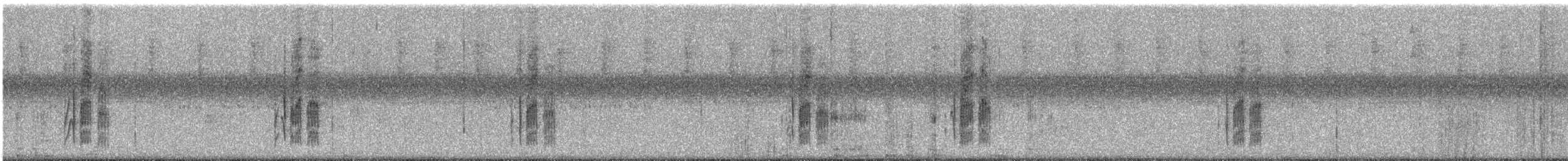 White-spotted Woodpecker - ML118066241