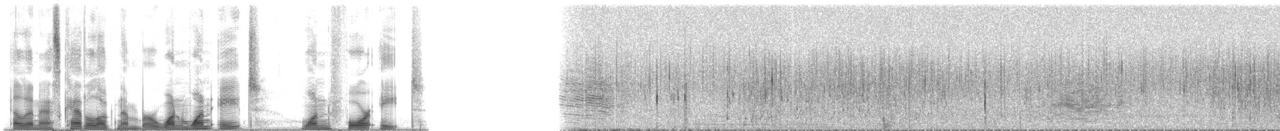 Humpback Whale - ML118148