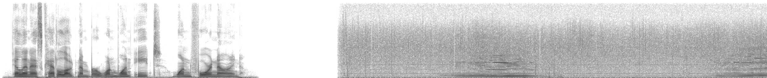 Humpback Whale - ML118149