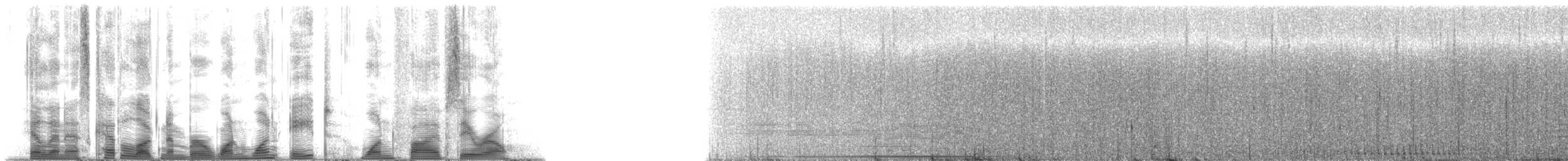 Humpback Whale - ML118150