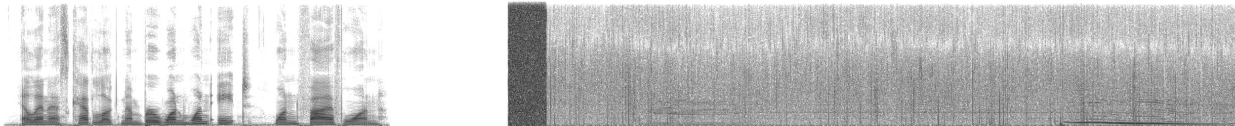 Humpback Whale - ML118151