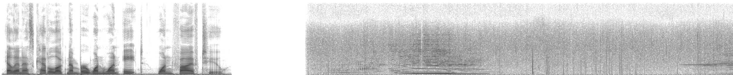 ザトウクジラ - ML118152