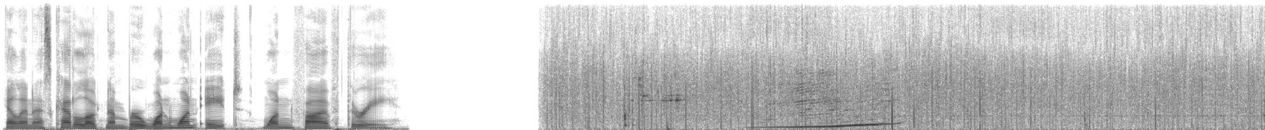 Humpback Whale - ML118153