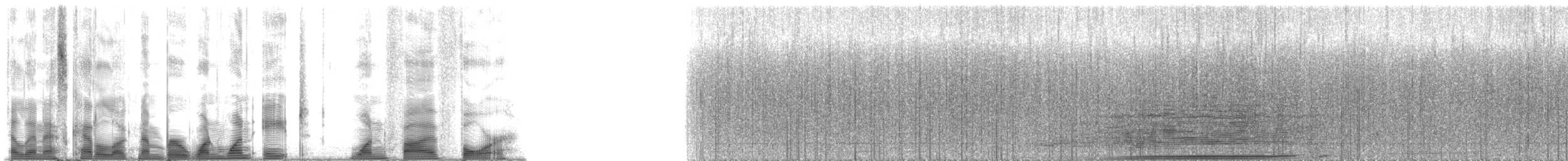 Humpback Whale - ML118154