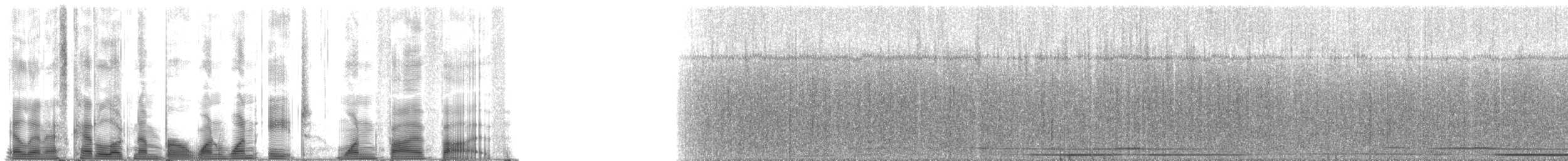 ザトウクジラ - ML118155