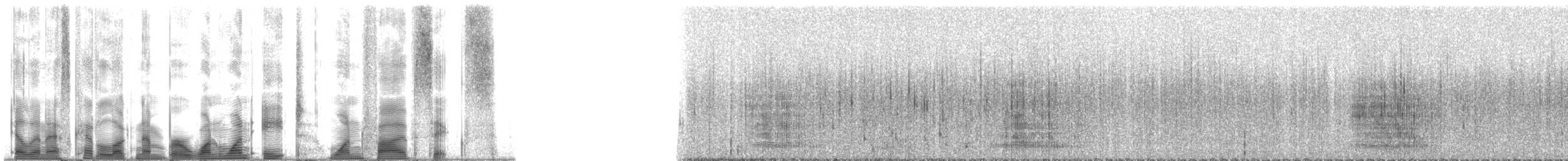 Humpback Whale - ML118156