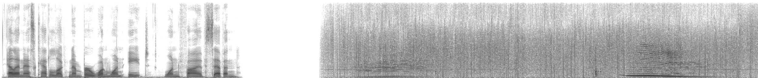 Humpback Whale - ML118157