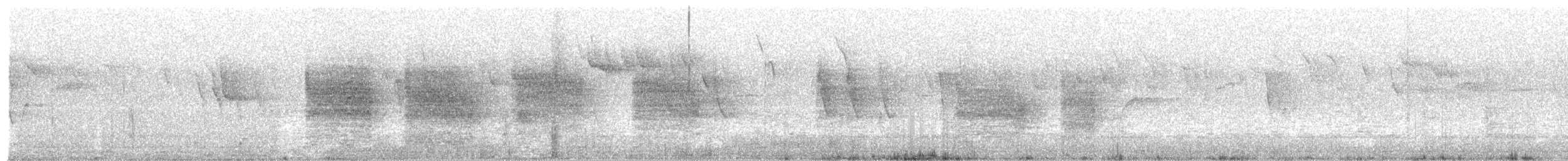 brhlík kabylský - ML118159591