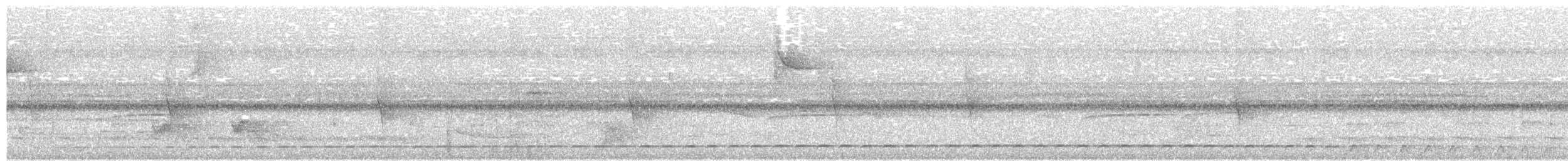Streifenbrust-Ameisendrossel - ML118170321