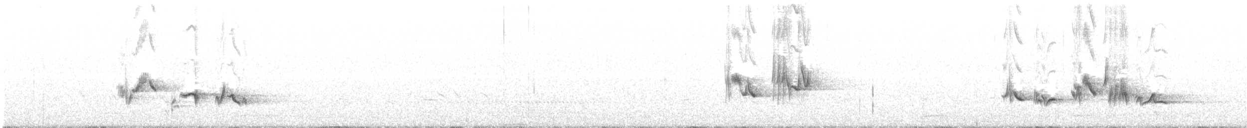 gråsolitærtrost - ML118180791