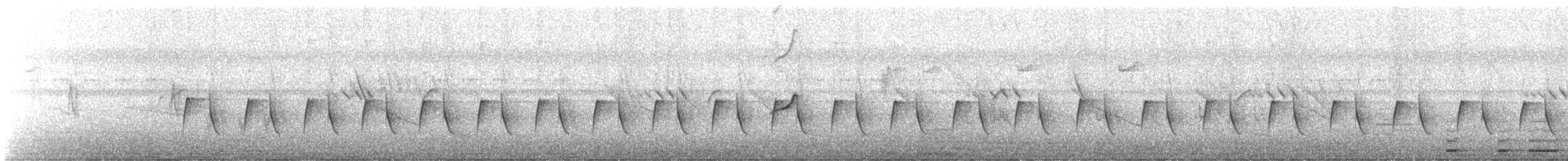 langhaleskredderfugl - ML118273581