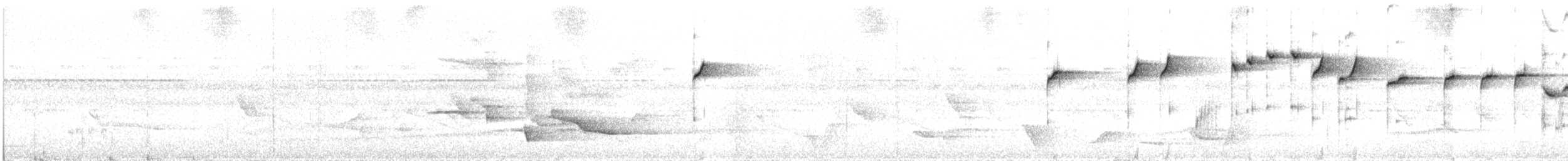 Solomons Rufous Fantail - ML118483251
