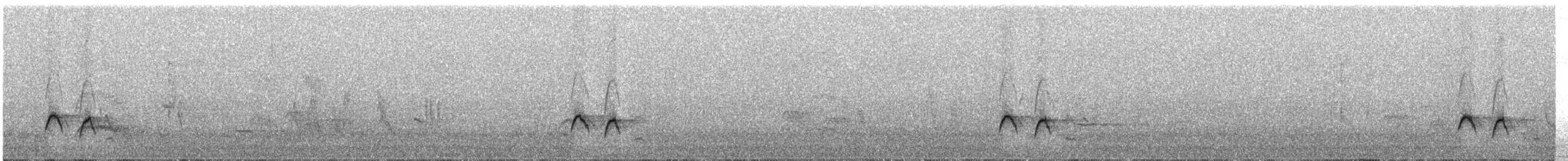 Weißkronen-Olivtyrann - ML118508841