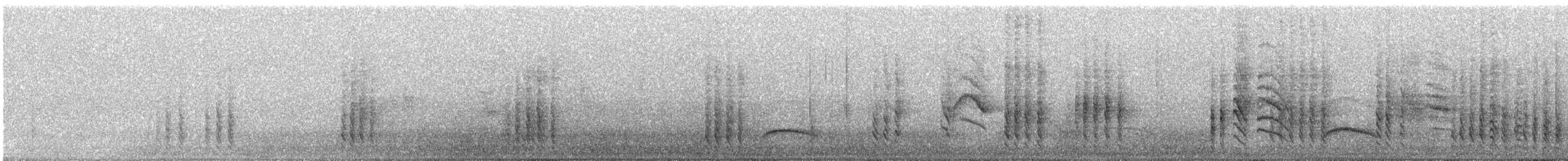 Strichelkopfstärling - ML118513361