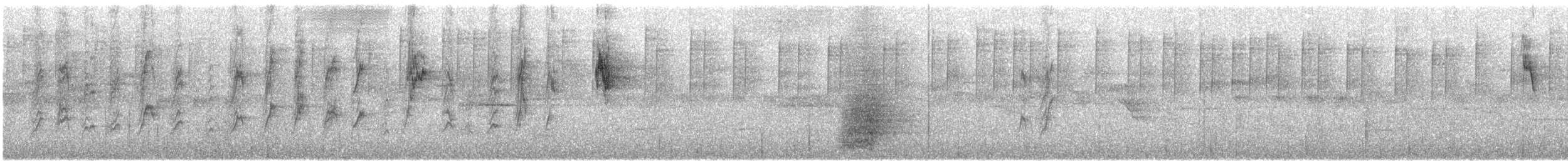 Trichoglossus ou Psitteuteles sp. - ML118513441