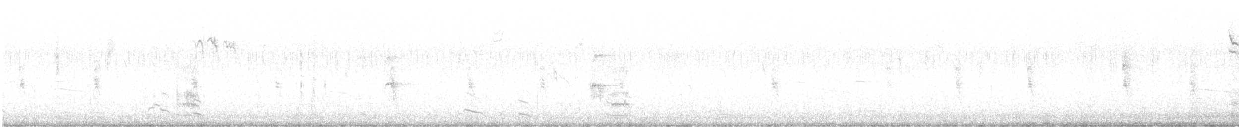 potápka žlutorohá - ML118516931