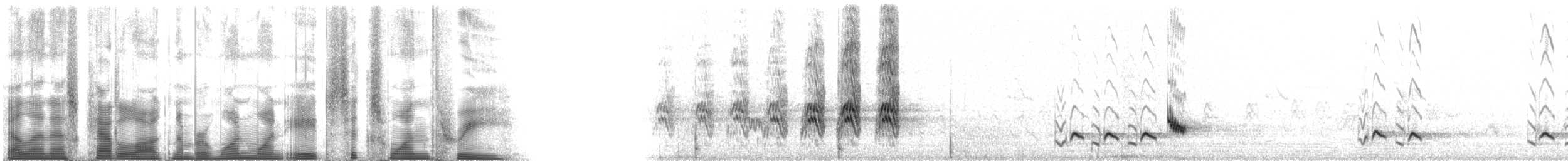 Gartenspottdrossel - ML118613