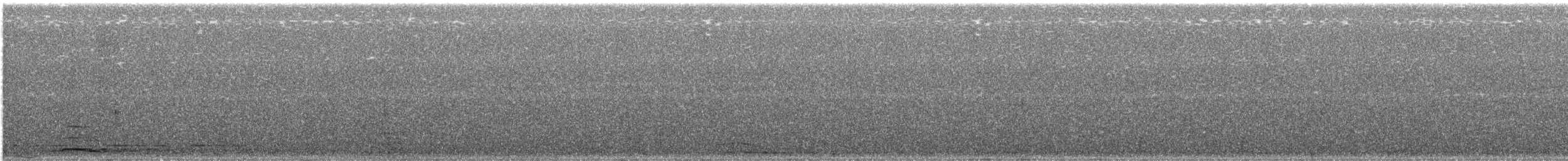 Cygne siffleur - ML118635631