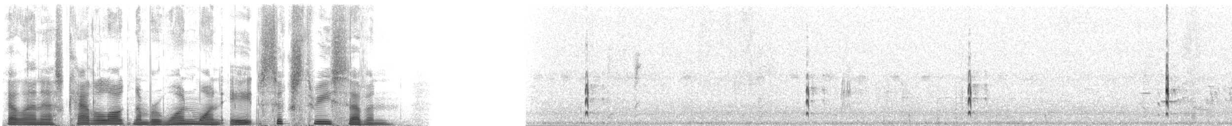 Western Kingbird - ML118637