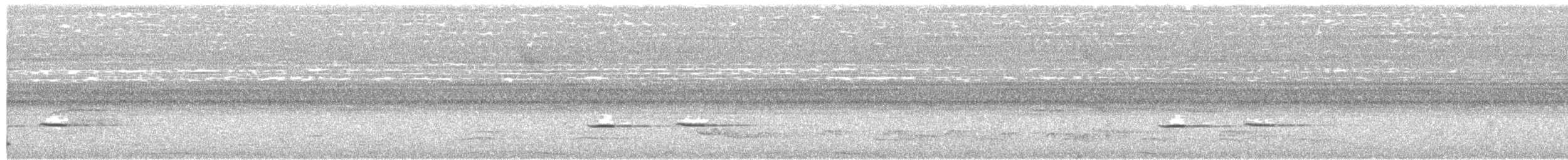 Striped Cuckoo - ML118648391