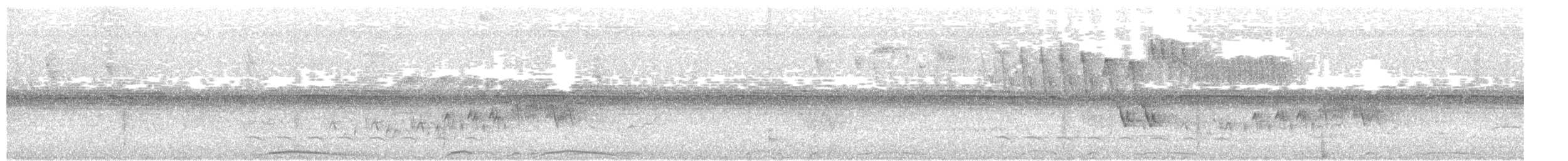 holub neotropický - ML118662241