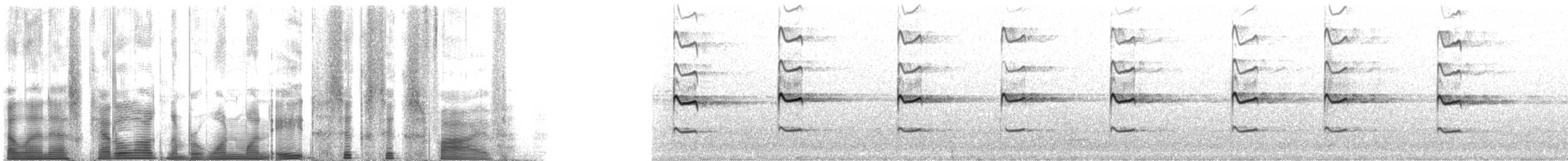 Kildir txirritxoa - ML118665