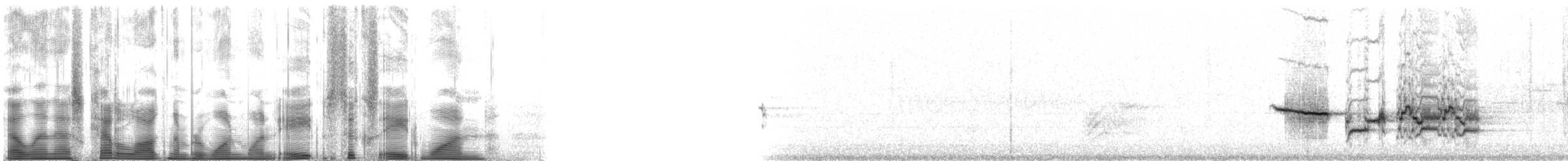 チャイロコツグミ - ML118681