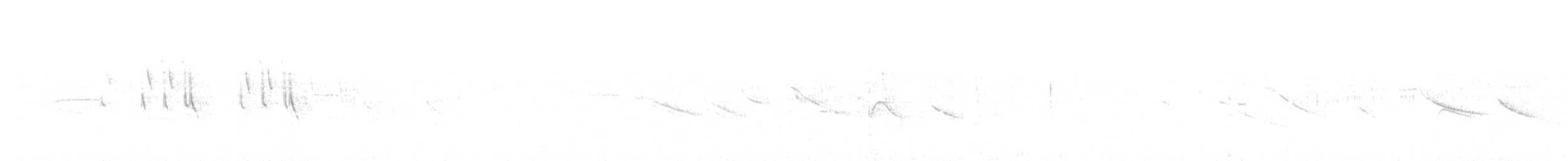 Band-tailed Sierra Finch - ML118690451