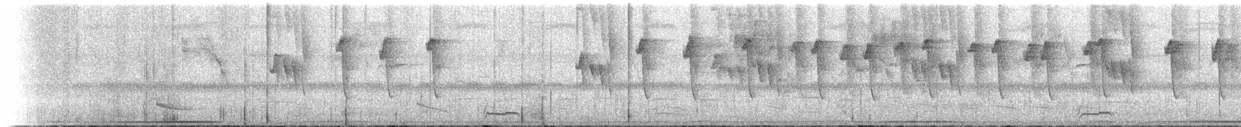 Солнечный колибри-отшельник - ML118712241