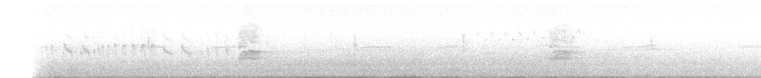 シロボシムジアマツバメ - ML118731631