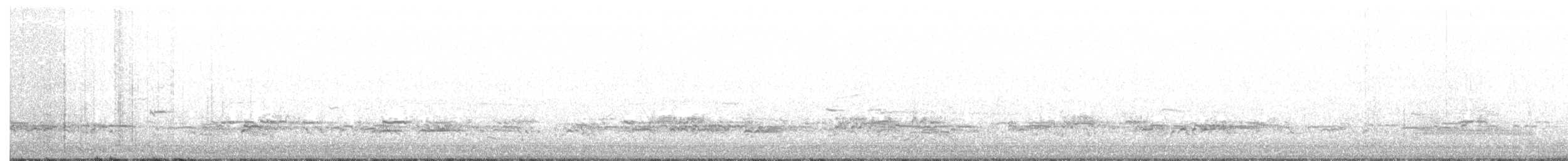 Western Grebe - ML118748181