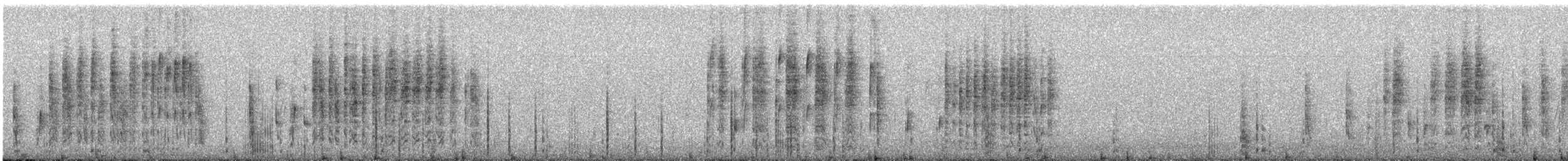 Troglodyte des marais - ML118778161