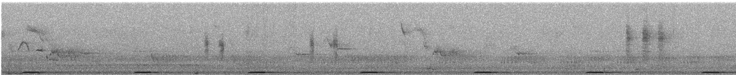 holub pestrokřídlý - ML118780041