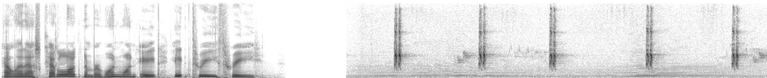 Nuttall's Woodpecker - ML118833