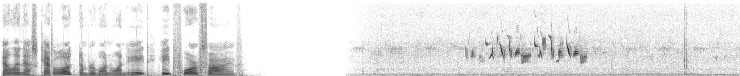 Bell's Sparrow (belli) - ML118845