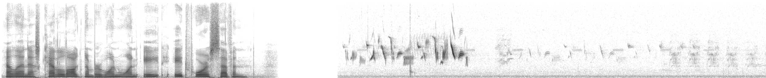 Bell's Sparrow (belli) - ML118847
