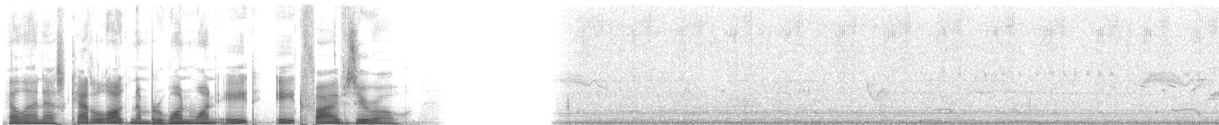 Bell's Sparrow (belli) - ML118850