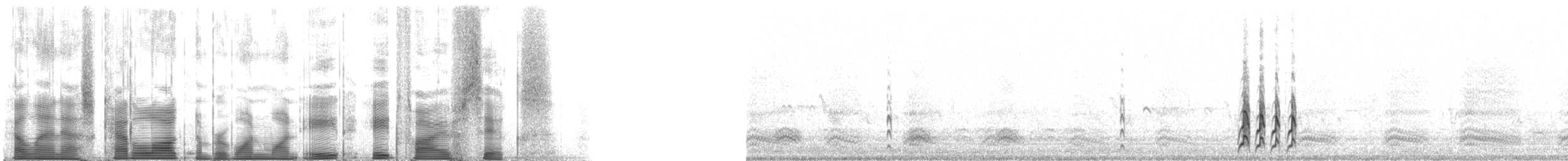Кроличий сыч (hypugaea/rostrata) - ML118856