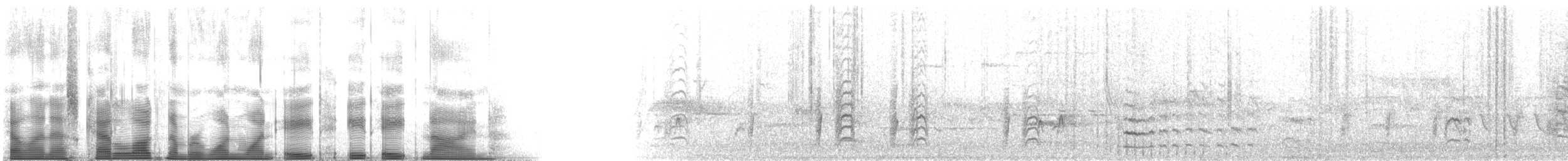 hvitbrystspettmeis (aculeata/alexandrae) - ML118889