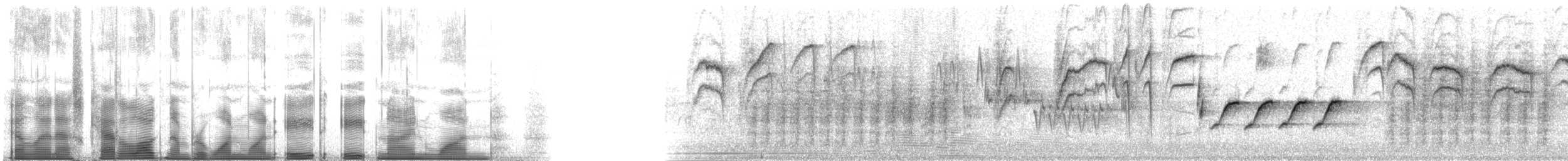 Buschzaunkönig - ML118891