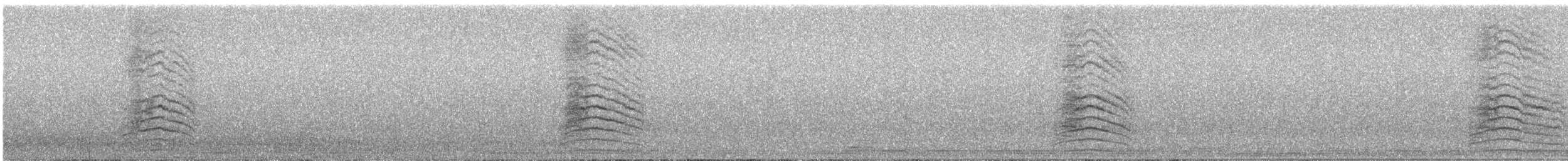 Gray Catbird - ML118897471