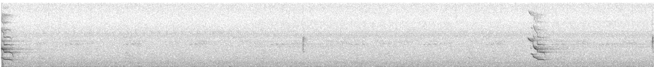 Northern Flicker (Yellow-shafted) - ML118911341