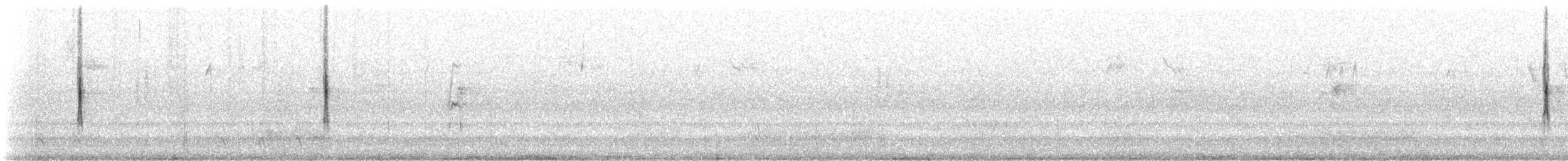 Yellow-rumped Warbler (Myrtle) - ML118921761