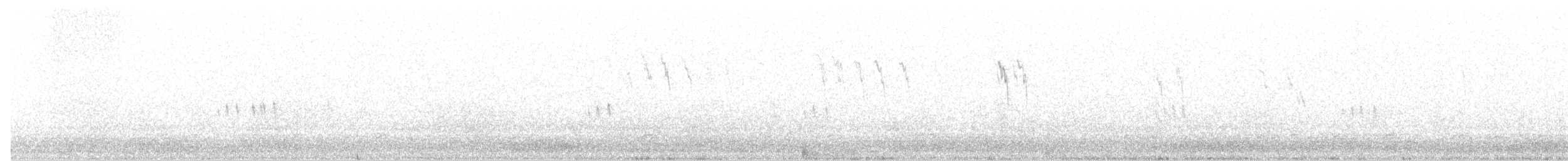 Подорожник лапландський - ML118962971